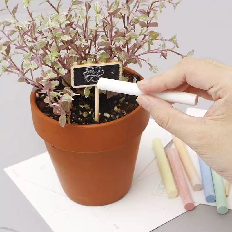 Bonsai Garden Mini - 8Pcs Mini Blackboard Bonsai Tags Bamboo