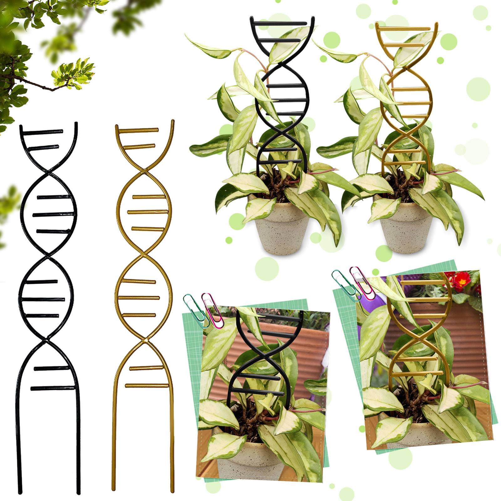 Bonsai Garden Tools - Plant Climbing Support Gardens Flower Pots