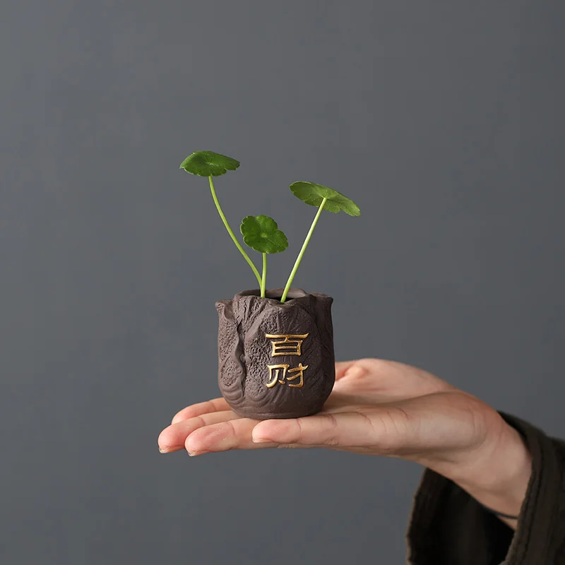 Creative Purple Clay Tea Pet F – Bonsai Garden Mini Bewertung und Preis