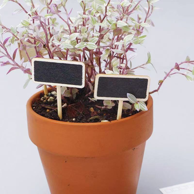 8Pcs Mini Blackboard Bonsai Ta – Bonsai Garden Mini Bewertung und Preis