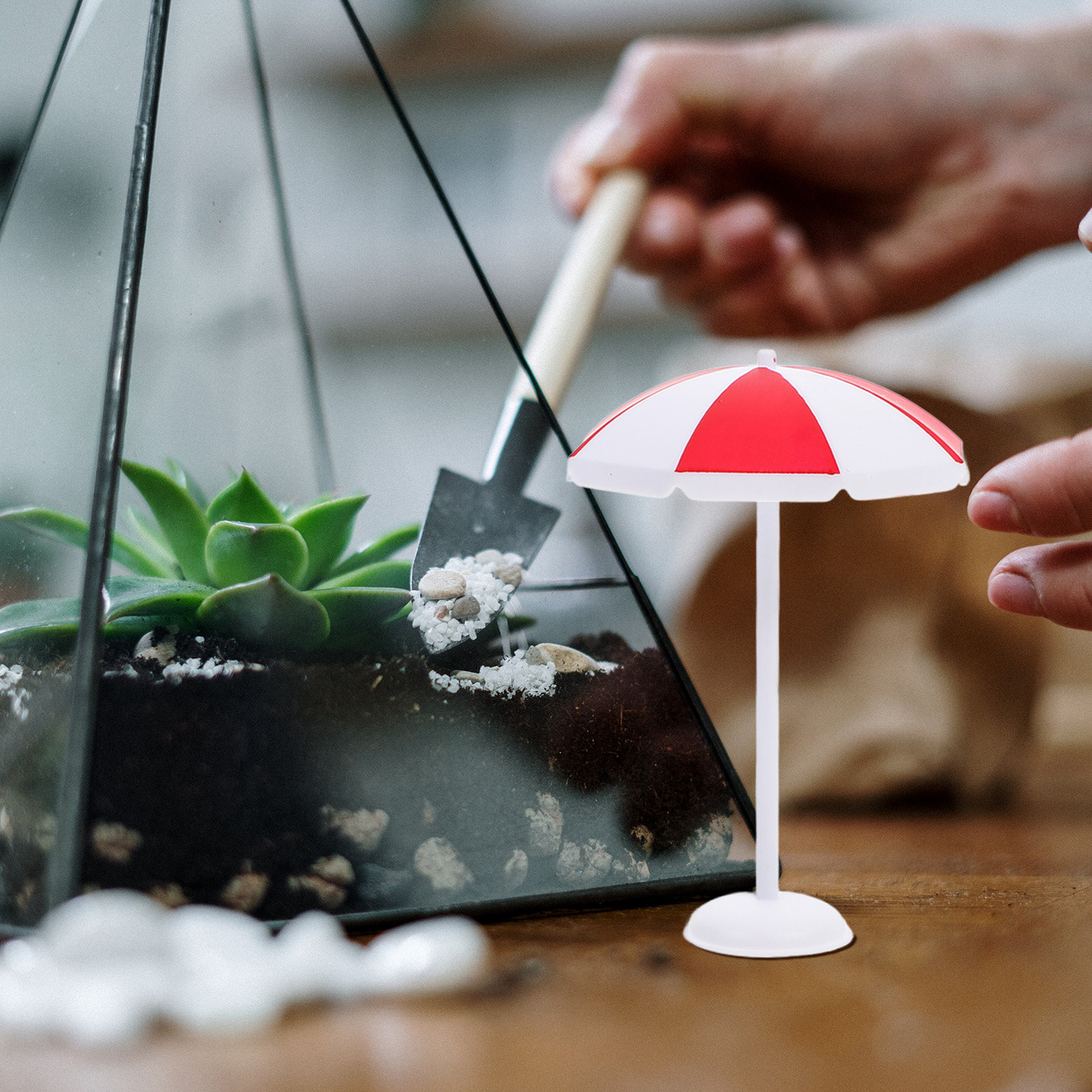 6Pcs Mini Beach Sun Umbrella C – Bonsai Garden Mini Bewertung und Preis