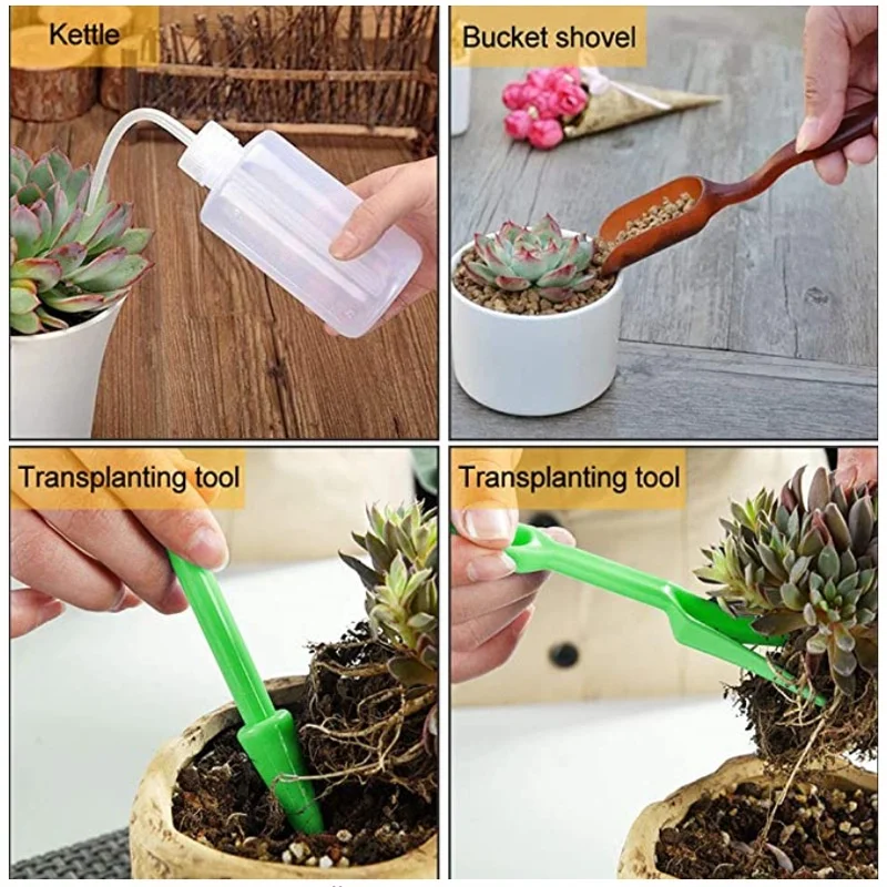 13Pcs Garden Planter Kit DIY S – Bonsai Garden Tools Bewertung und Preis
