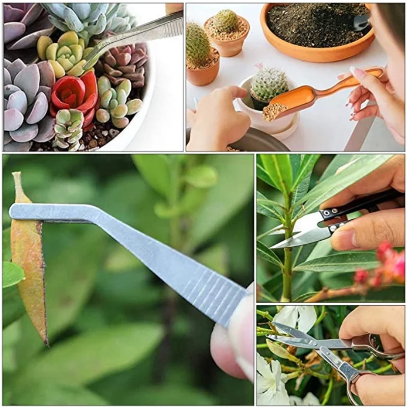 13Pcs Garden Planter Kit DIY S – Bonsai Garden Tools Bewertung und Preis