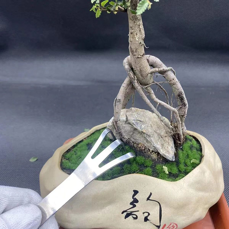 1Pc Stainless Steel Root Rake  – Bonsai Garden Tools Bewertung und Preis