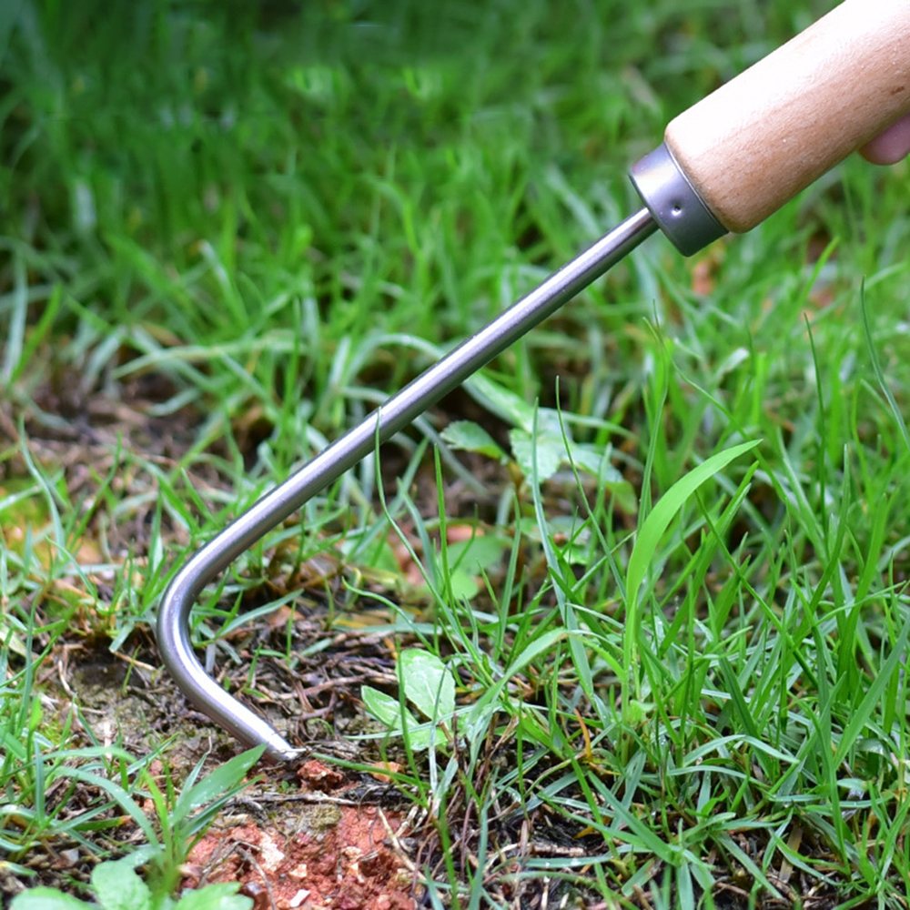 1PC Single Claw Hook Soil Loos – Bonsai Garden Tools Bewertung und Preis