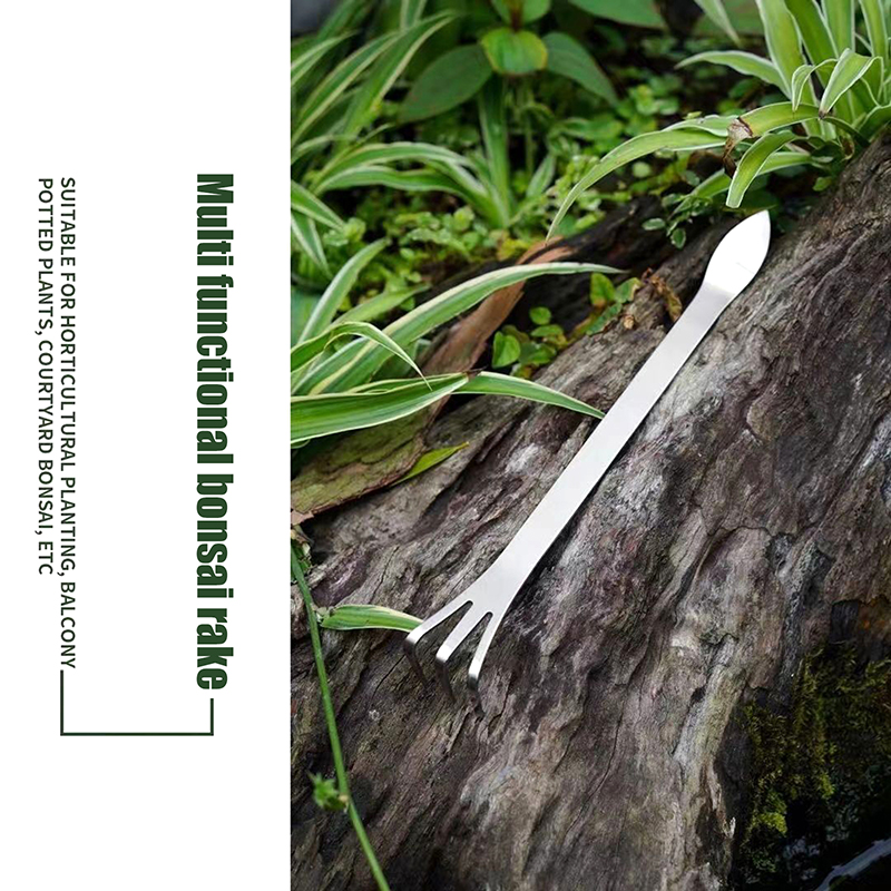 1Pc Stainless Steel Root Rake  – Bonsai Garden Tools Bewertung und Preis