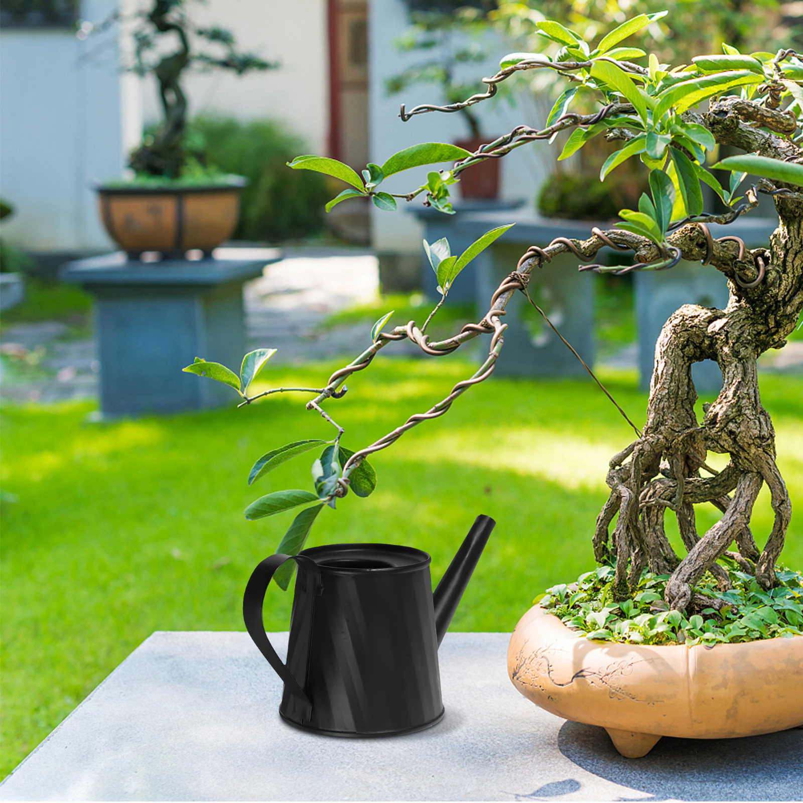 Mini Watering Can for Indoor P – Bonsai Garden Mini Bewertung und Preis