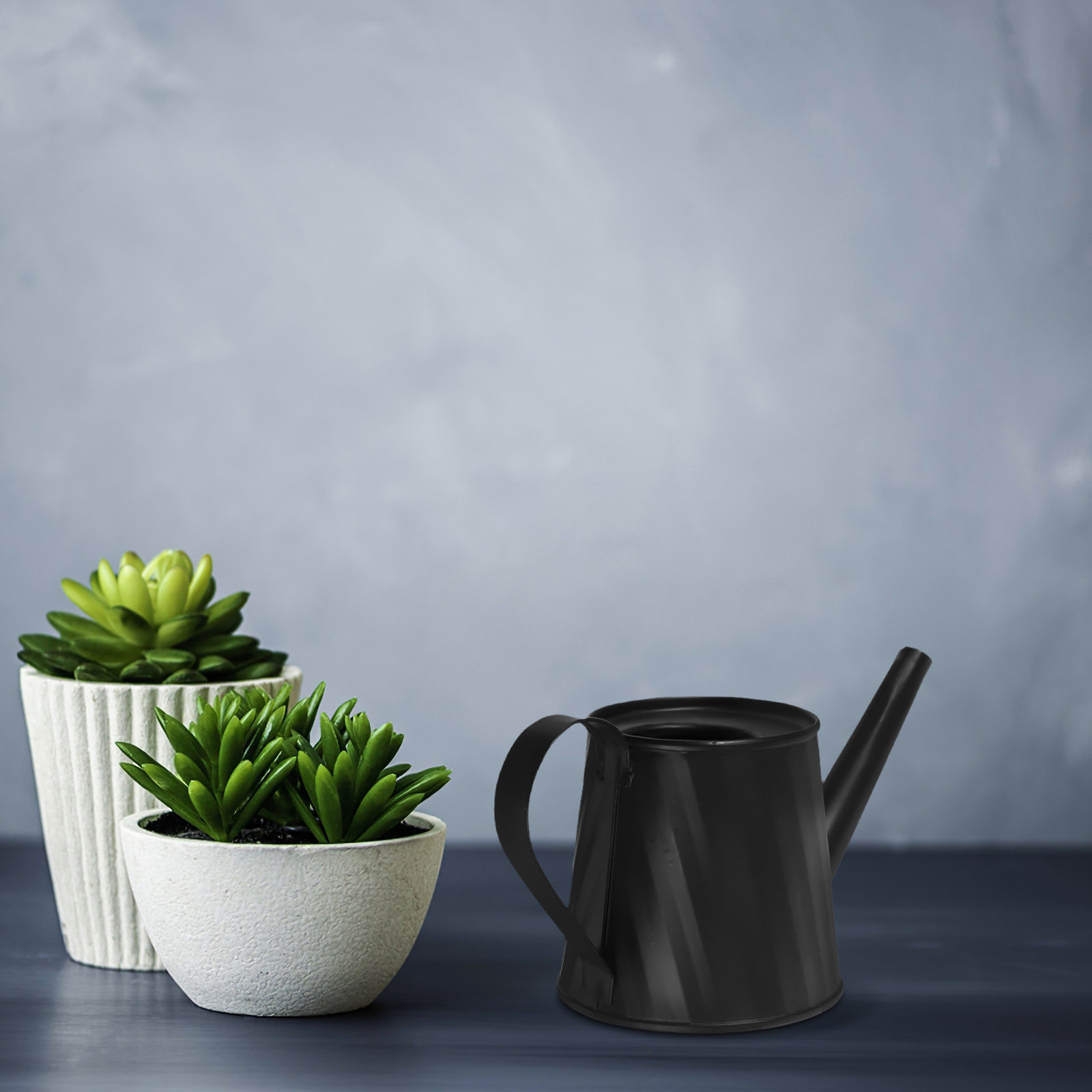 Mini Watering Can for Indoor P – Bonsai Garden Mini Bewertung und Preis