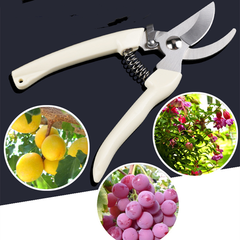 Pruner Orchard and The Garden  – Bonsai Garden Tools Bewertung und Preis