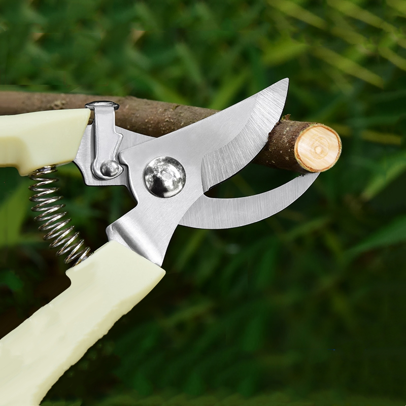 Pruner Orchard and The Garden  – Bonsai Garden Tools Bewertung und Preis