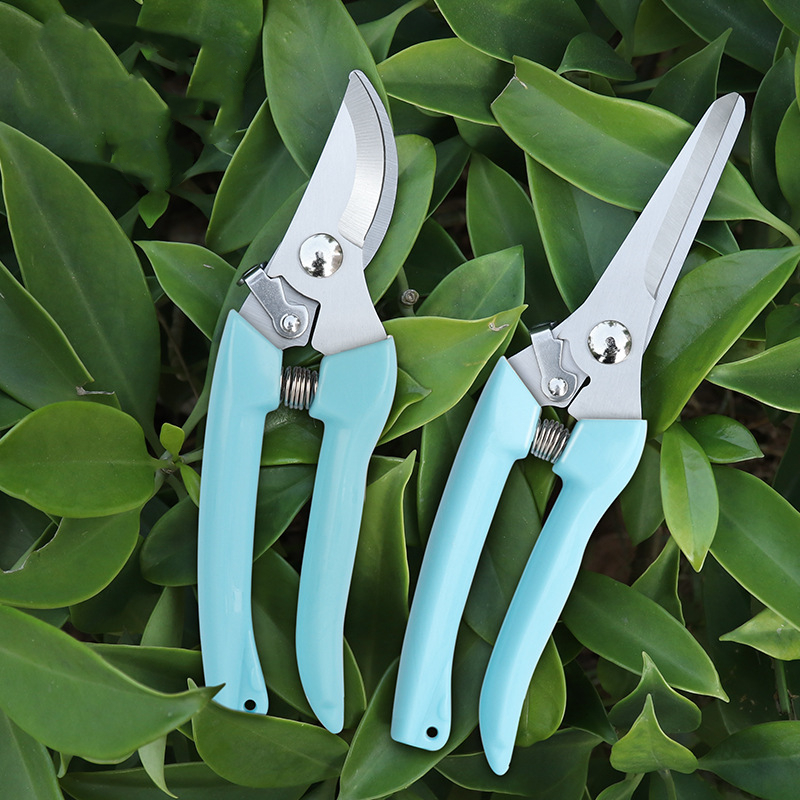 Pruner Orchard and The Garden  – Bonsai Garden Tools Bewertung und Preis