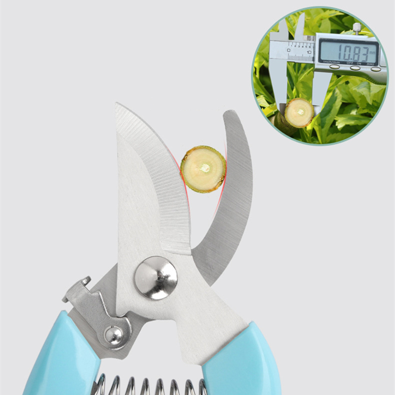 Pruner Orchard and The Garden  – Bonsai Garden Tools Bewertung und Preis