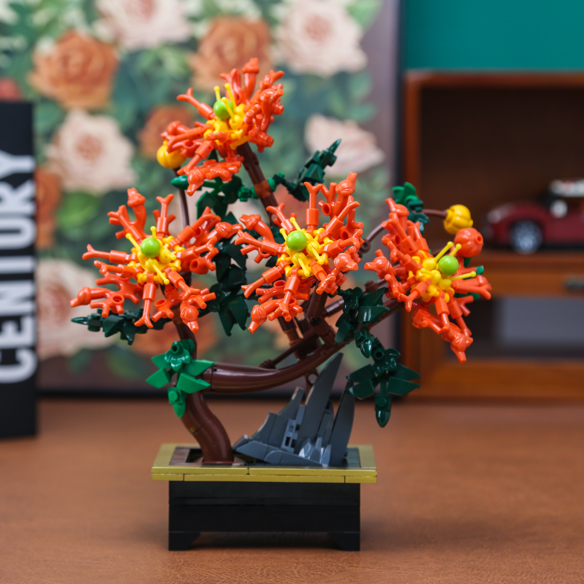 Dragon Claw Chrysanthemum Bons – Bonsai Garden Mini Bewertung und Preis