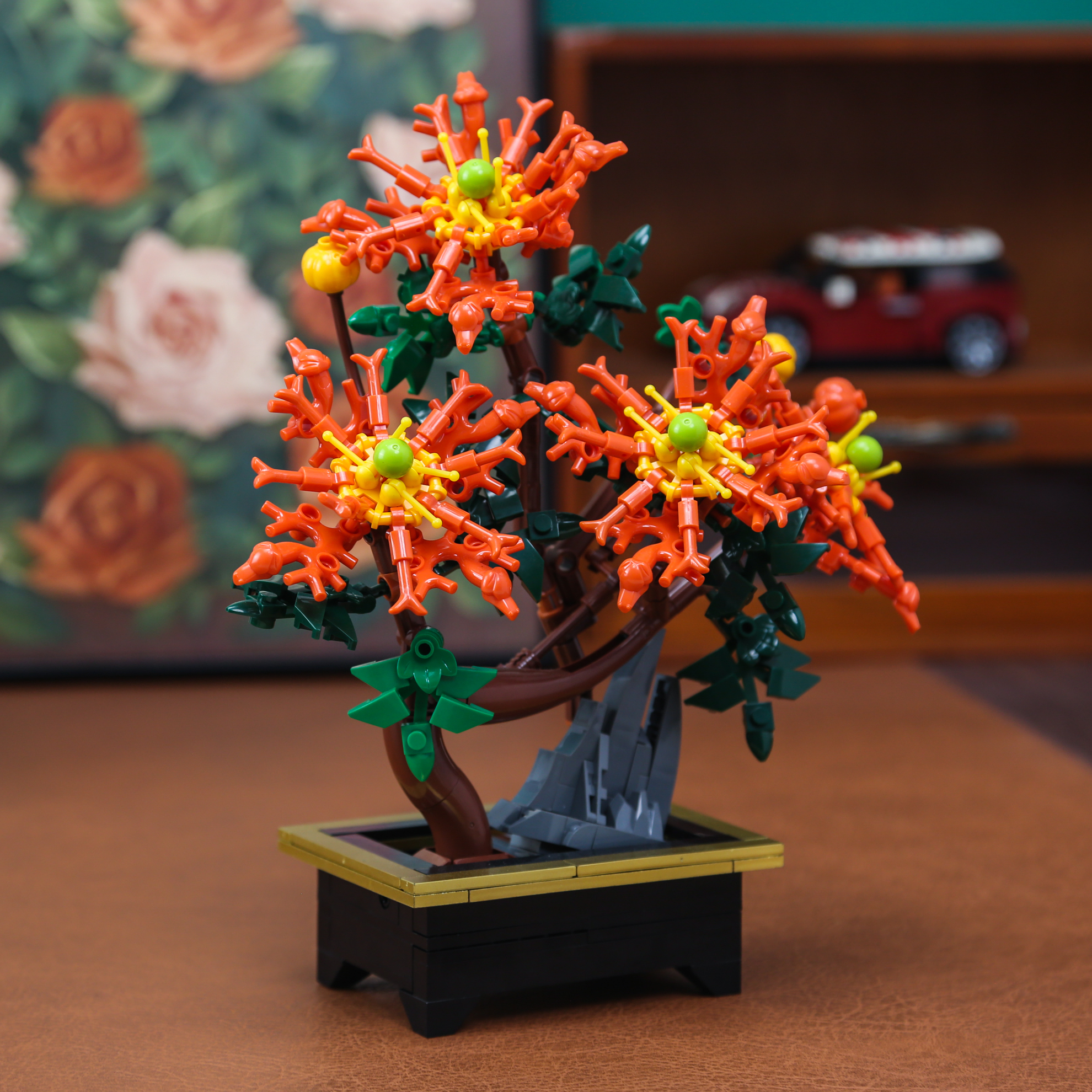 Dragon Claw Chrysanthemum Bons – Bonsai Garden Mini Bewertung und Preis