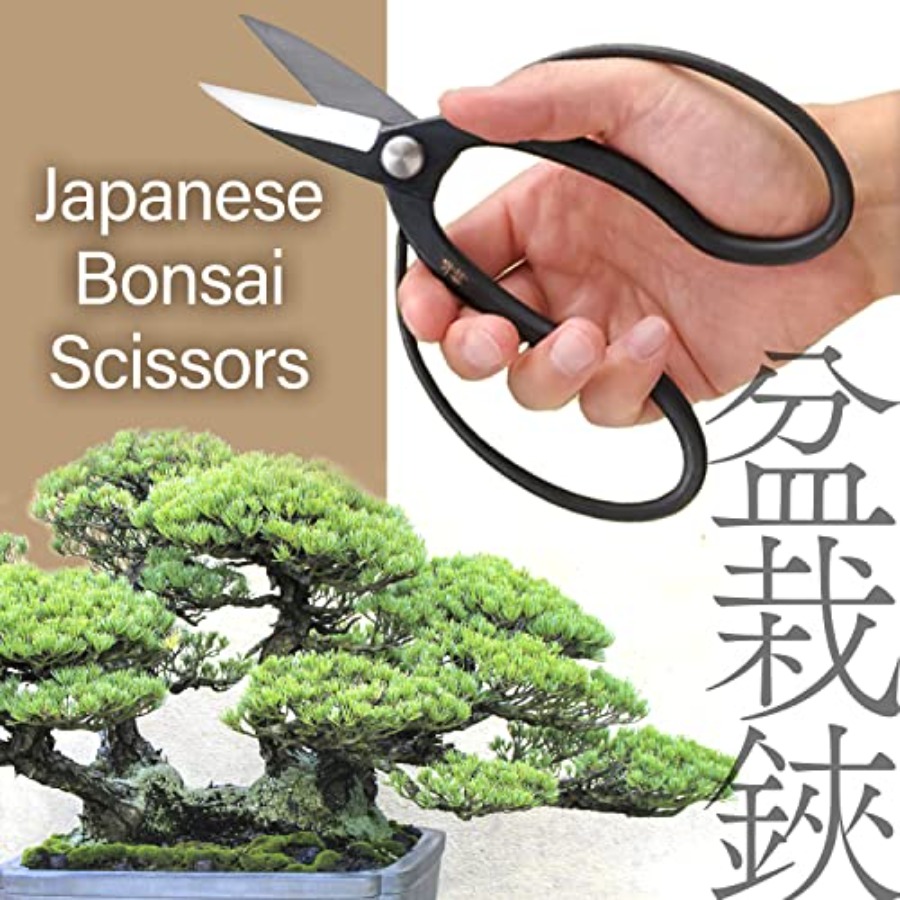 Japanese Suiryu Bonsai Scissor – Bonsai Garden In Japan Bewertung und Preis