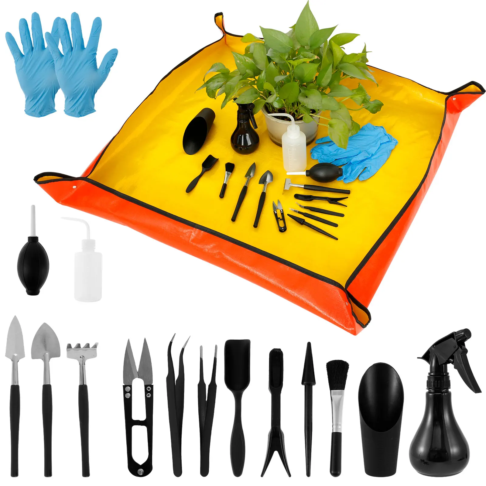13/16Pcs Garden Succulent Plan – Bonsai Garden Mini Bewertung und Preis
