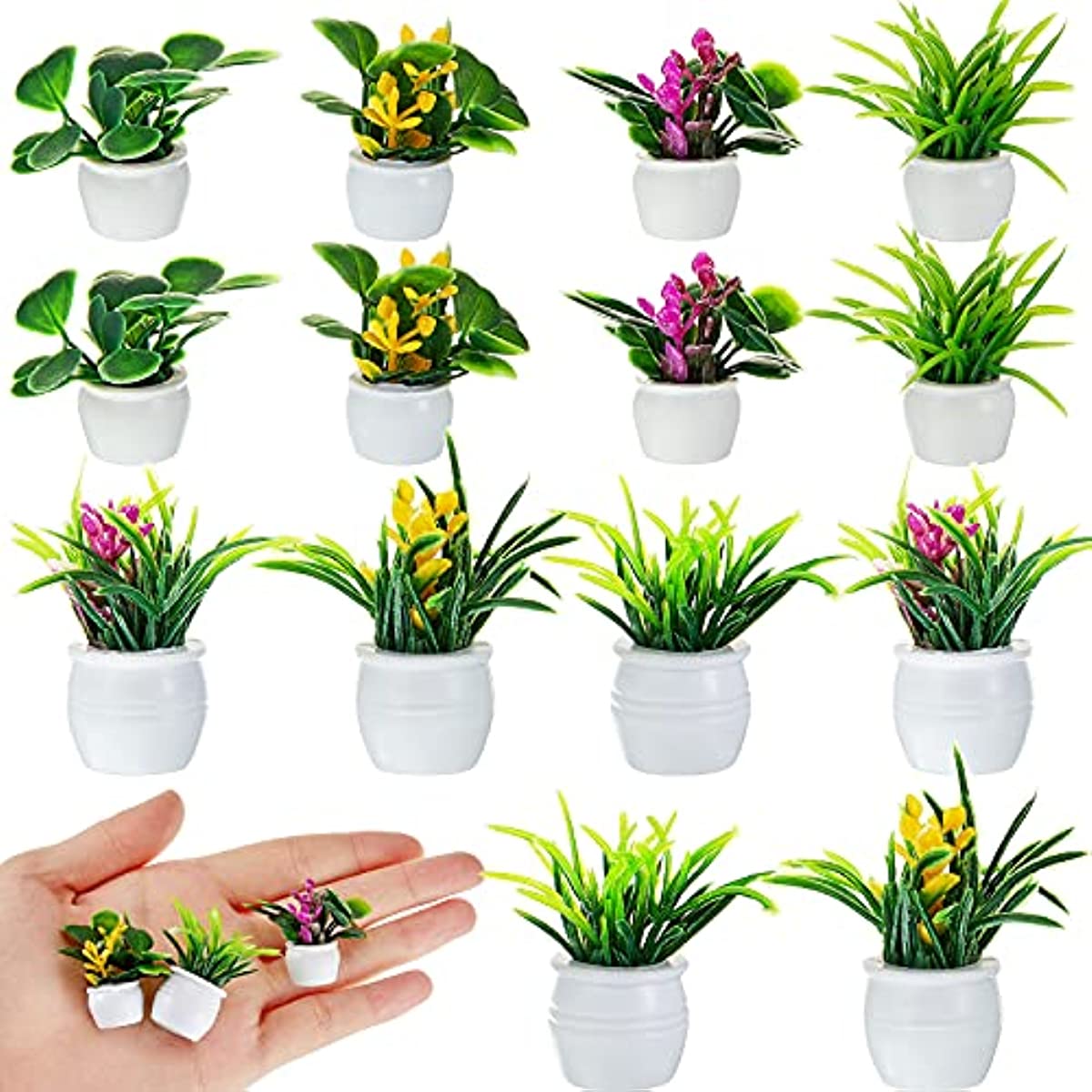 Dollhouse Plant, Miniature Bon – Bonsai Garden Mini Bewertung und Preis
