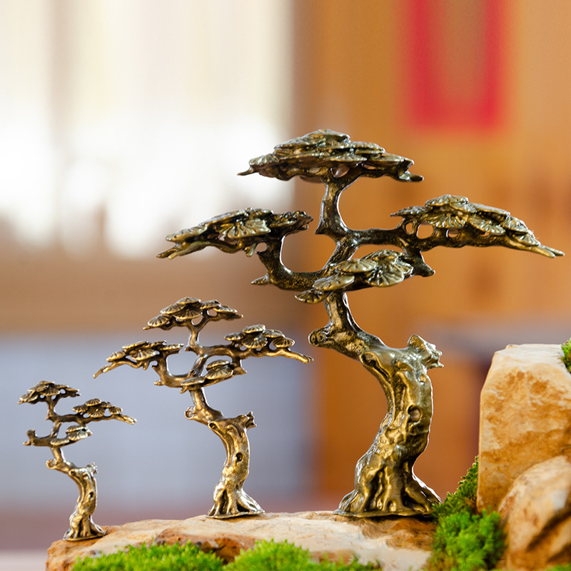 Mini Welcome Pine Miniature Fi – Bonsai Garden Mini Bewertung und Preis