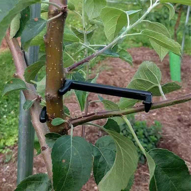 10-30Pcs Fruit Tree Clips Plan – Bonsai Garden Tools Bewertung und Preis
