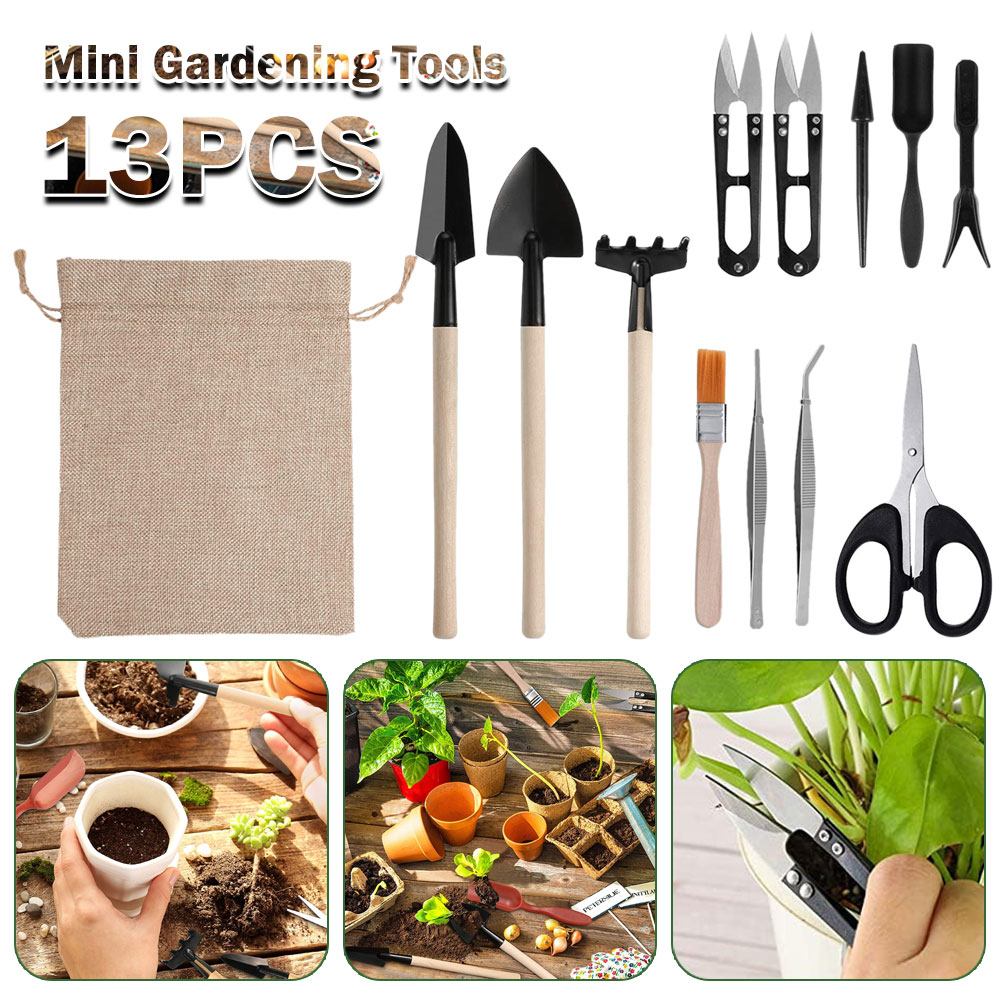 Succulent Plants Tools Mini Ga – Bonsai Garden Mini Bewertung und Preis