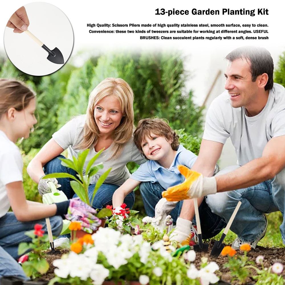 Succulent Plants Tools Mini Ga – Bonsai Garden Mini Bewertung und Preis