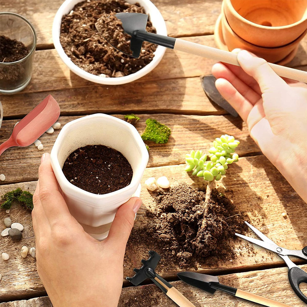 Succulent Plants Tools Mini Ga – Bonsai Garden Mini Bewertung und Preis